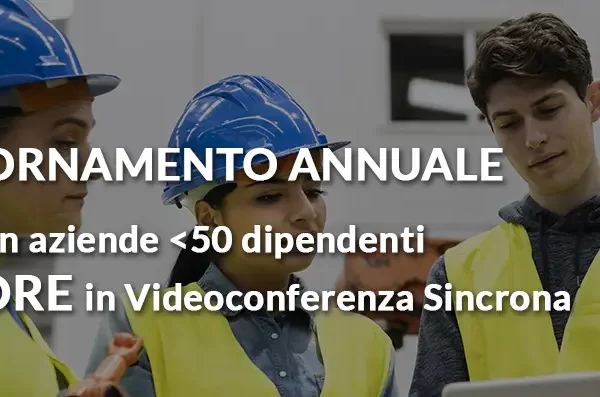 aggiornamento RLS aziende meno di 50 dipendenti 4 ore online